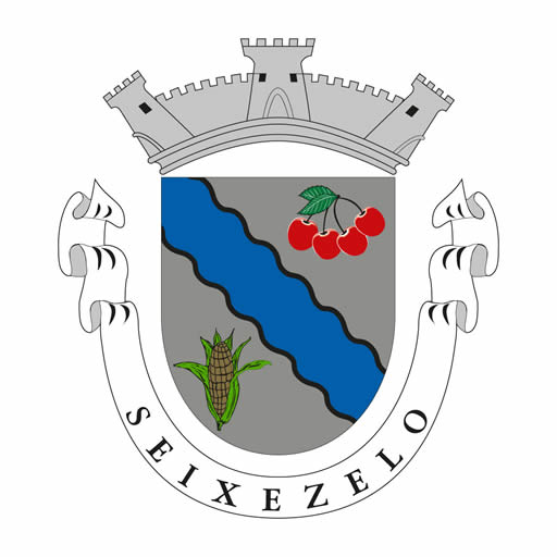 JFS Brazao Icon