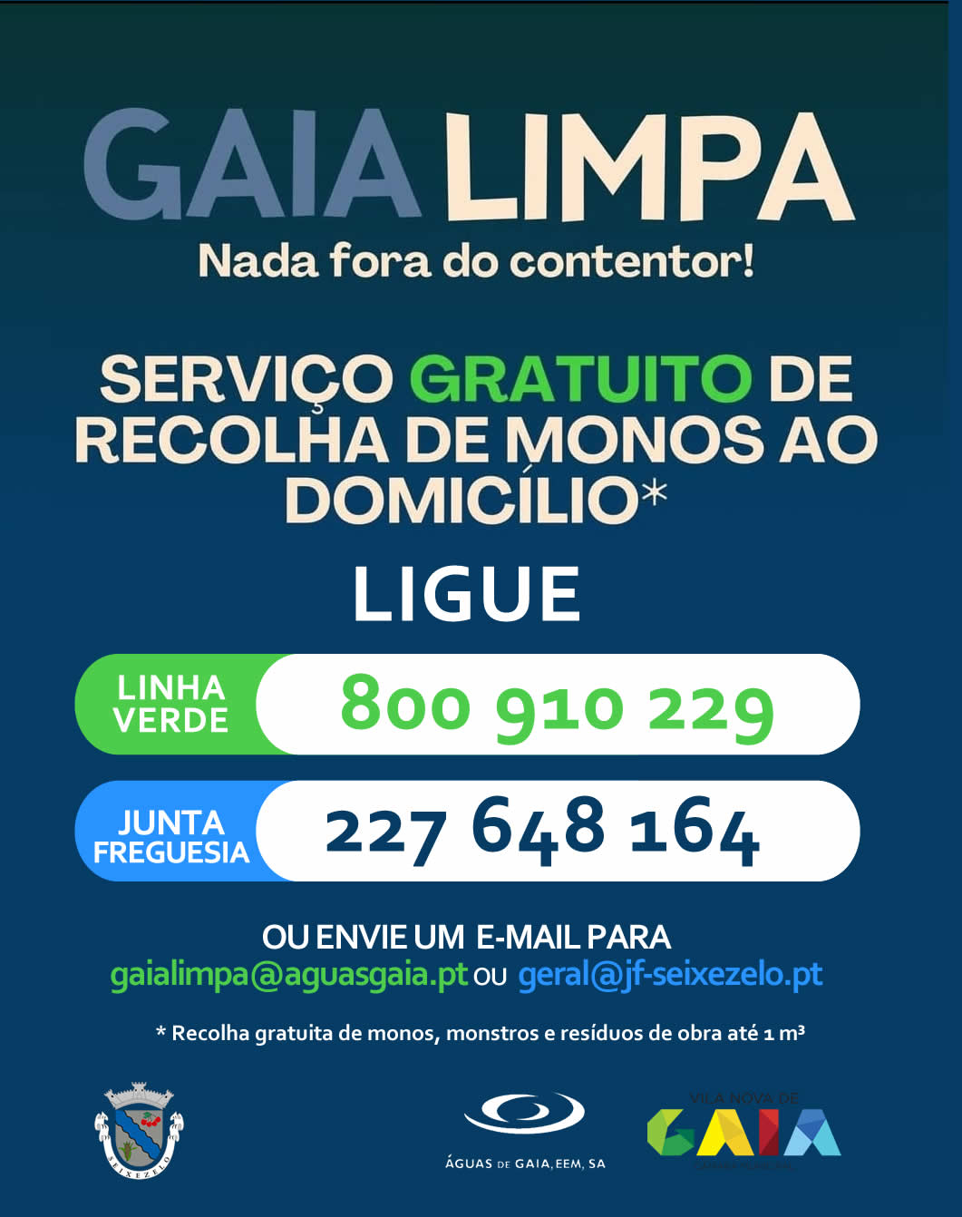 GaiaLimpa Seixezelo10