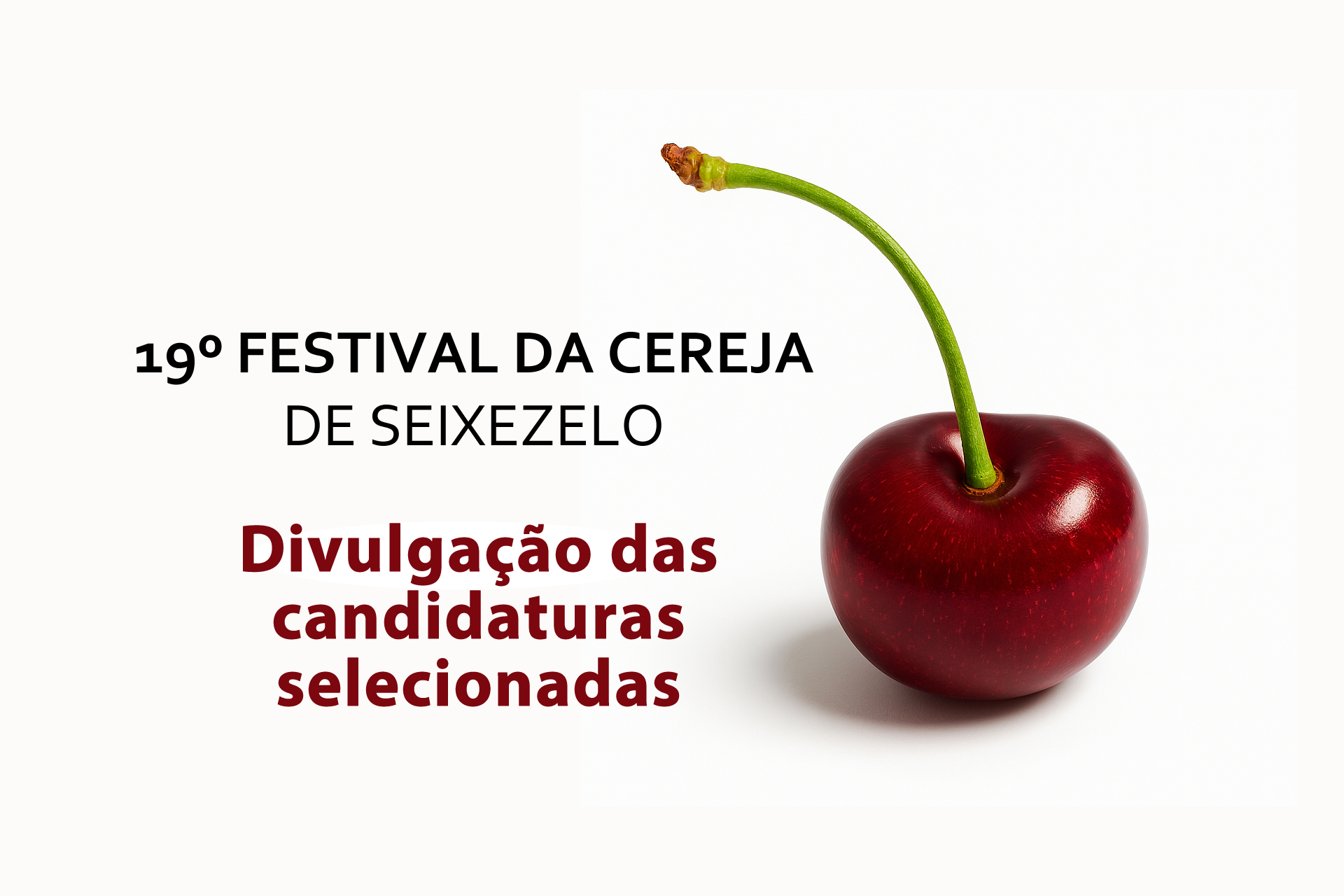 19FCS: Candidaturas Selecionadas